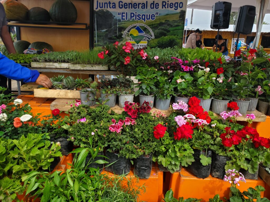 feriaproductiva5